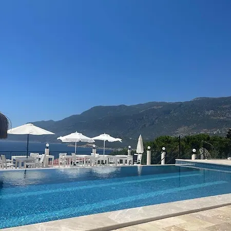 بيت شباب Sole'n Blu كاس